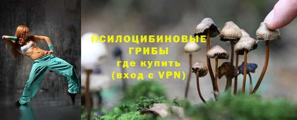 ешки Алексеевка