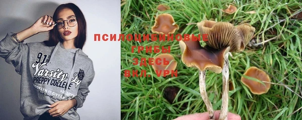 ешки Алексеевка