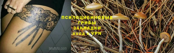 таблы Алзамай