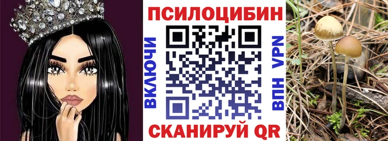блэк спрут ссылка  Болотное  Галлюциногенные грибы GOLDEN TEACHER 
